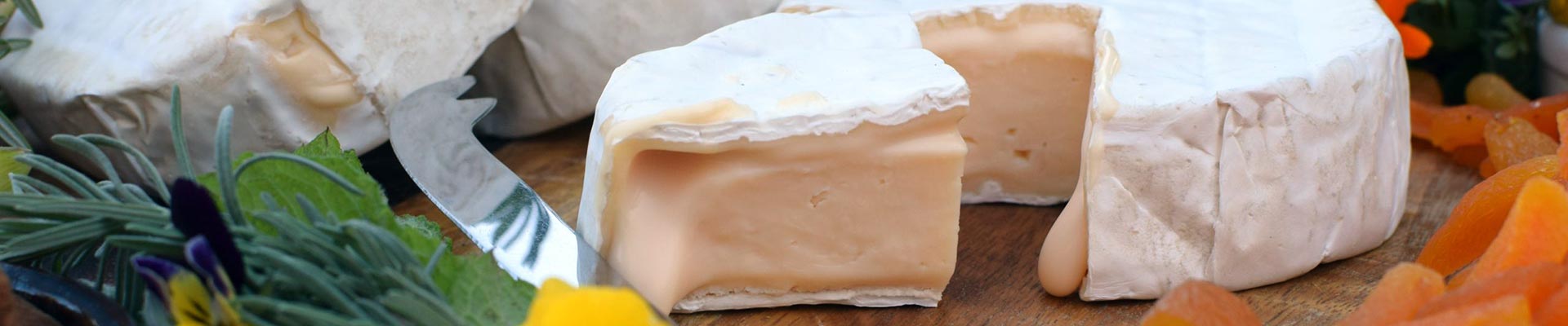 Brie and cheese knife