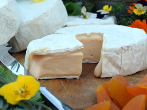 Brie