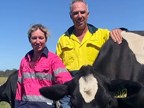 Paringa View Park dairy farm