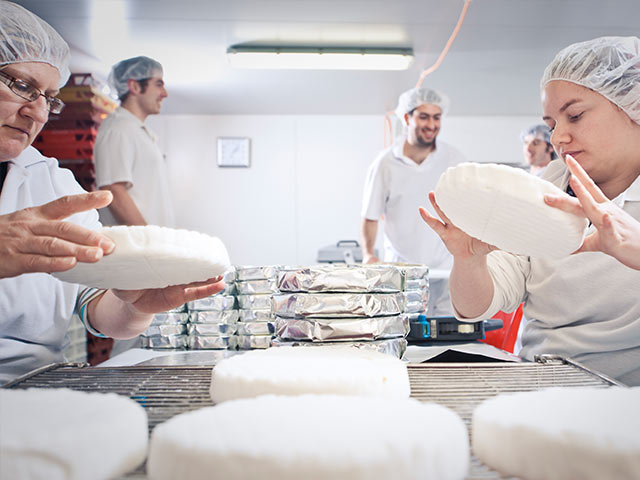 Udder Delights cheese making 